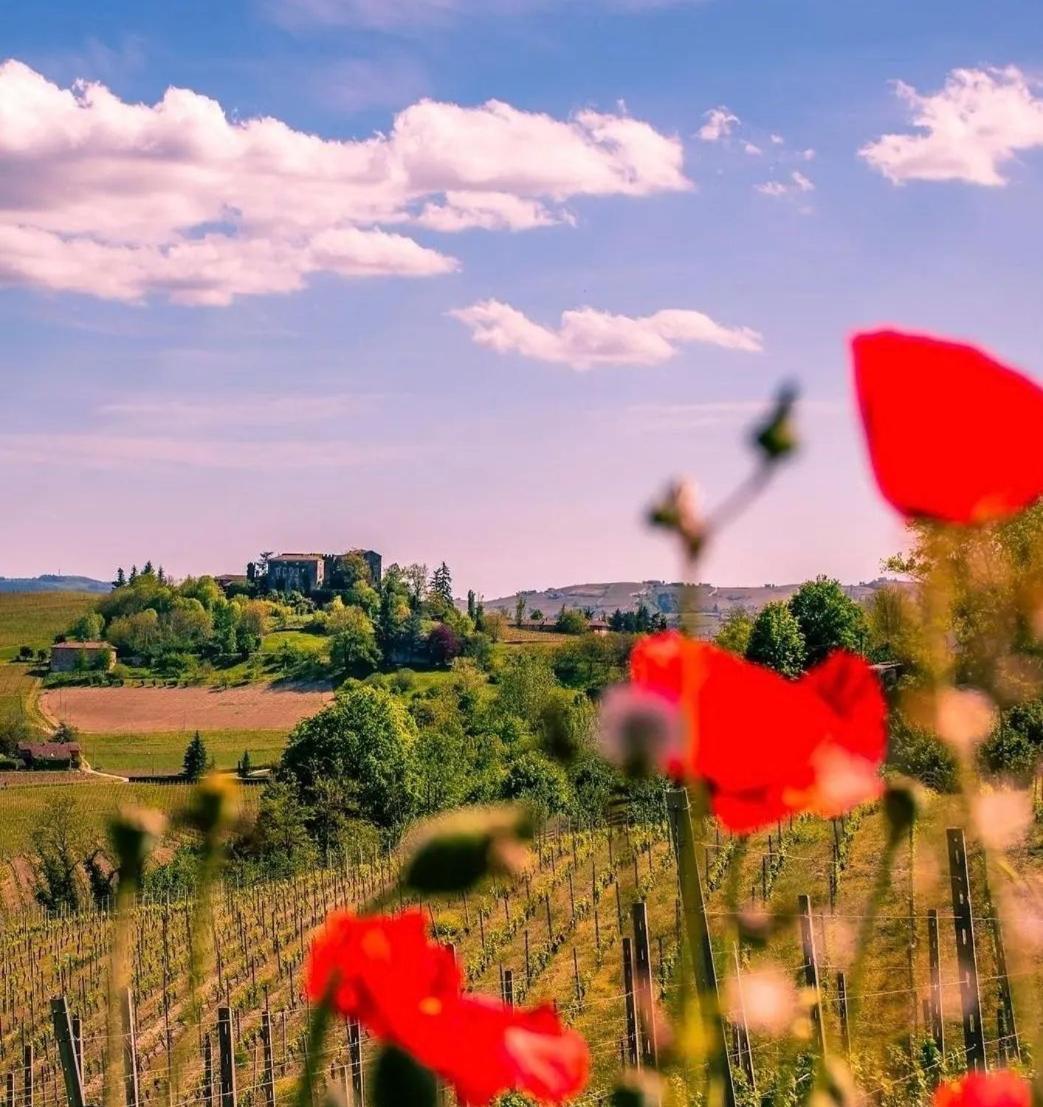 La Valle B&B Asti Zewnętrze zdjęcie